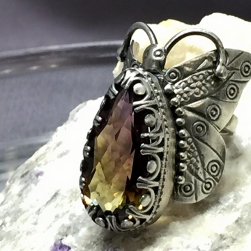 The Making Of A Butterfly Ring
