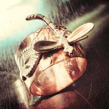 Dragonfly on Copper